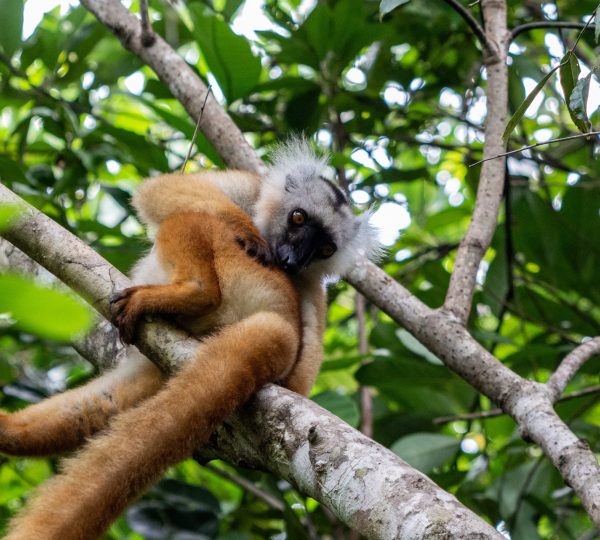 Tour de l’île de Nosy Be